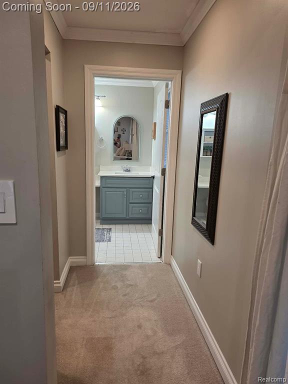 503 Horner Drive Property Photo 36