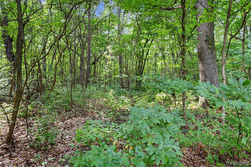 45223 Wear Road Property Photo 45