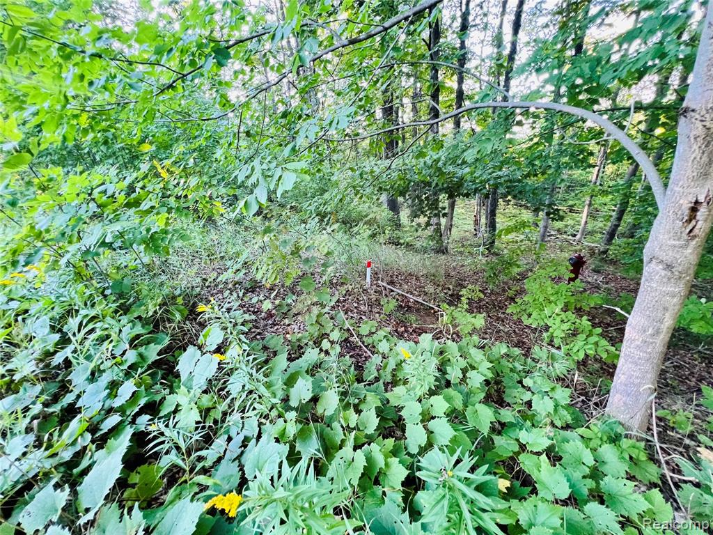 7554 Preserve Drive Property Photo 5