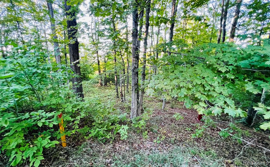 7554 Preserve Drive Property Photo 6