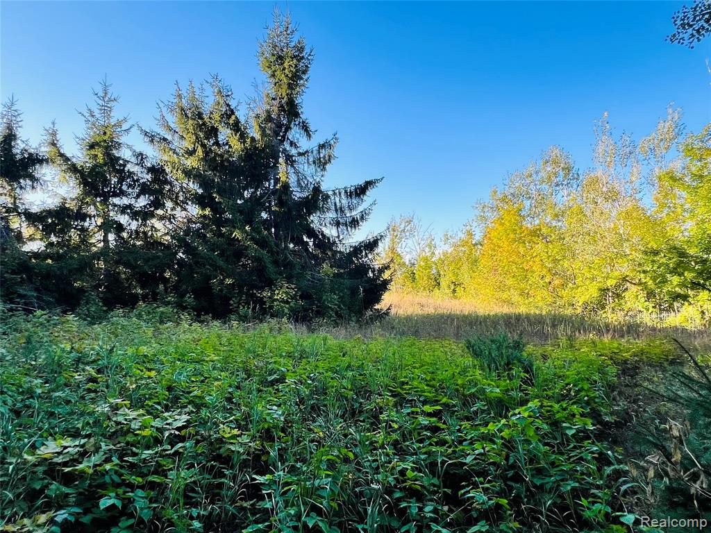 7554 Preserve Drive Property Photo 12