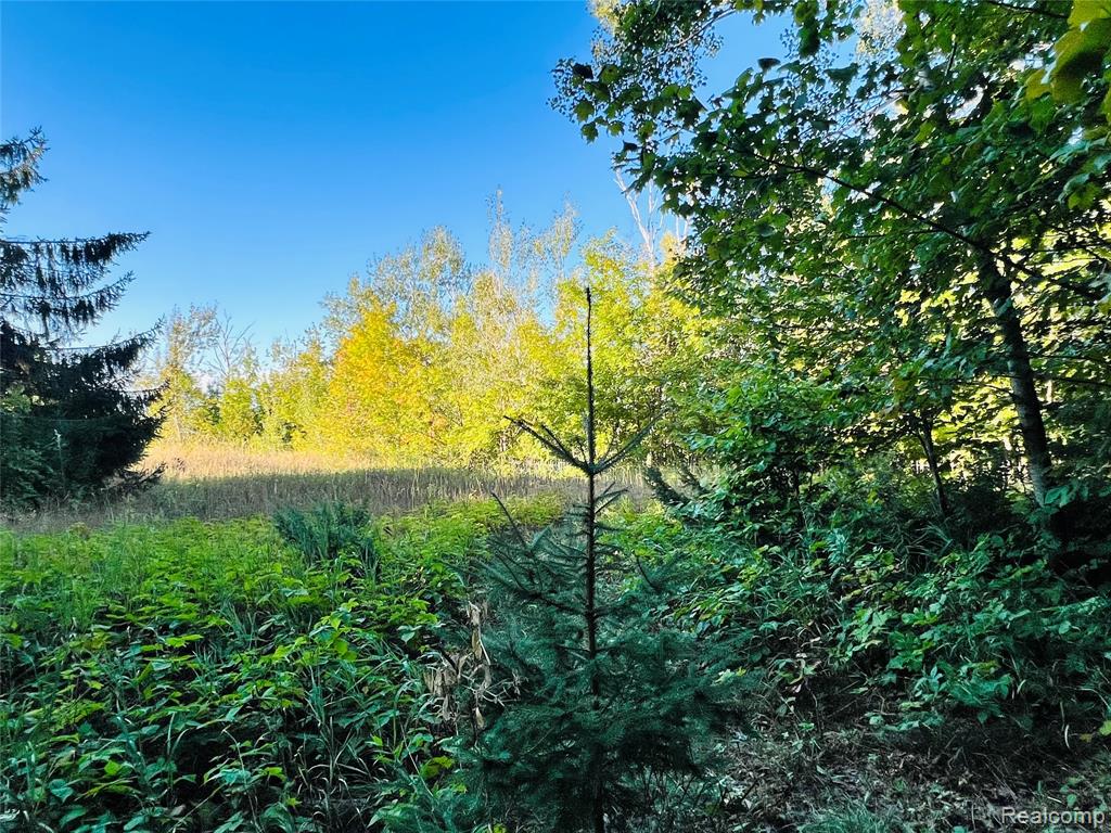 7554 Preserve Drive Property Photo 13
