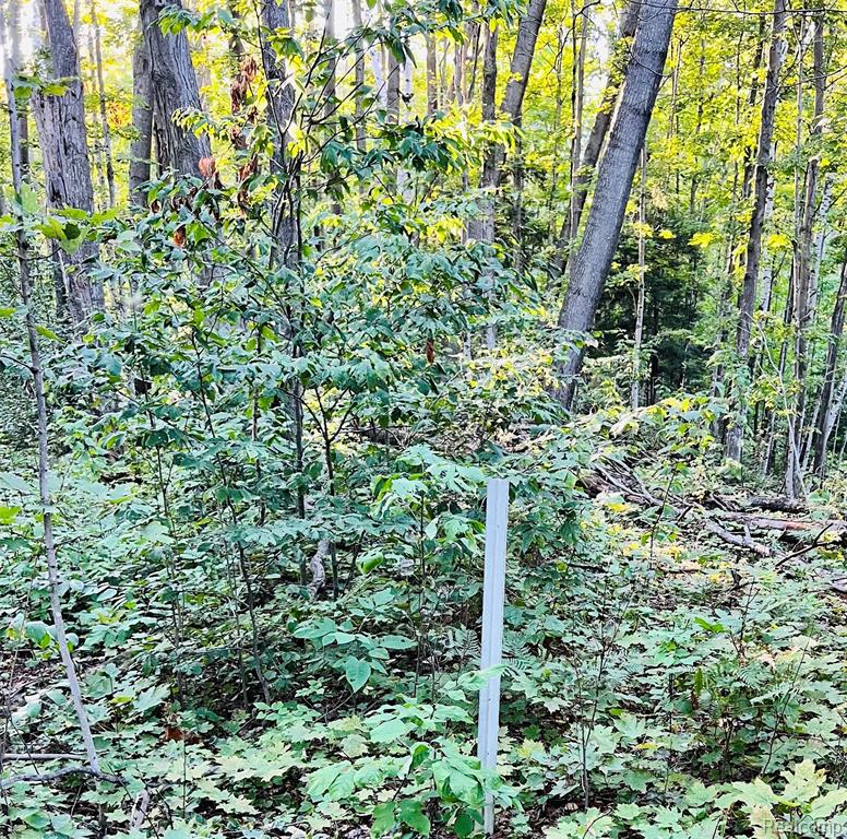 7554 Preserve Drive Property Photo 17