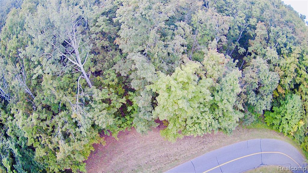 7554 Preserve Drive Property Photo 24