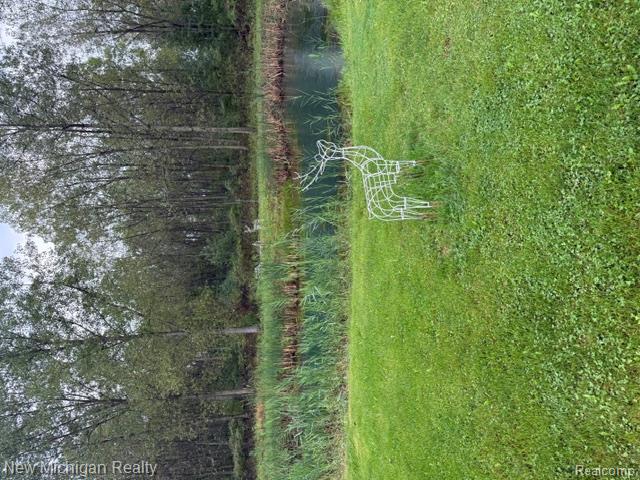 1169 Wheeler Road Property Photo 9