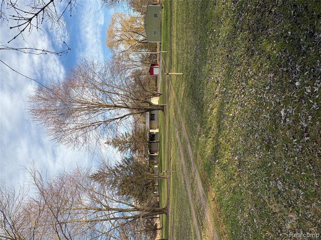 11779 Dunn Road Property Photo 5