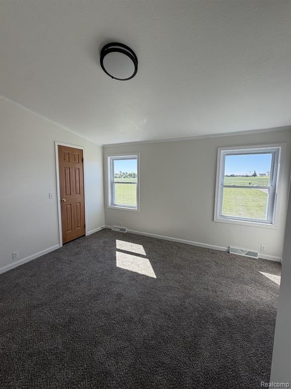 1313 E Murphy Lake Road Property Photo 14