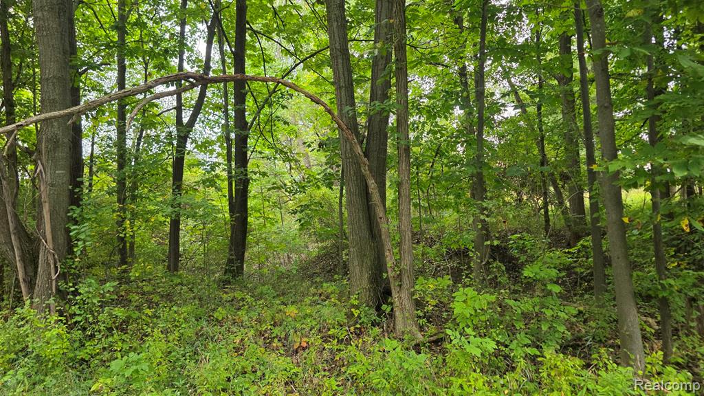 00 Barnes Property Photo 3