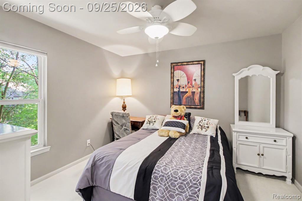 3806 Arbor Drive Property Photo 19