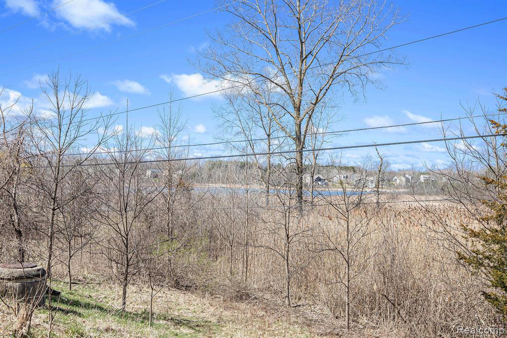 Vl Butcher Rd Property Photo 13