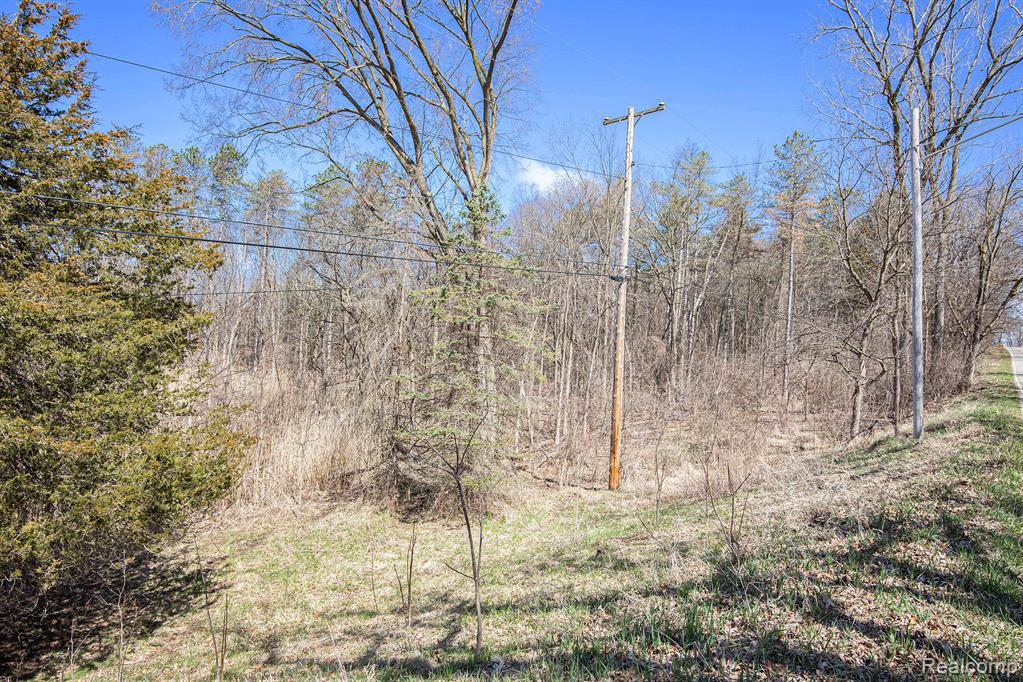 Vl Butcher Rd Property Photo 14