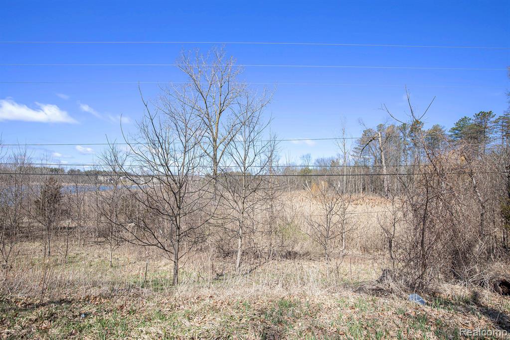Vl Butcher Rd Property Photo 16