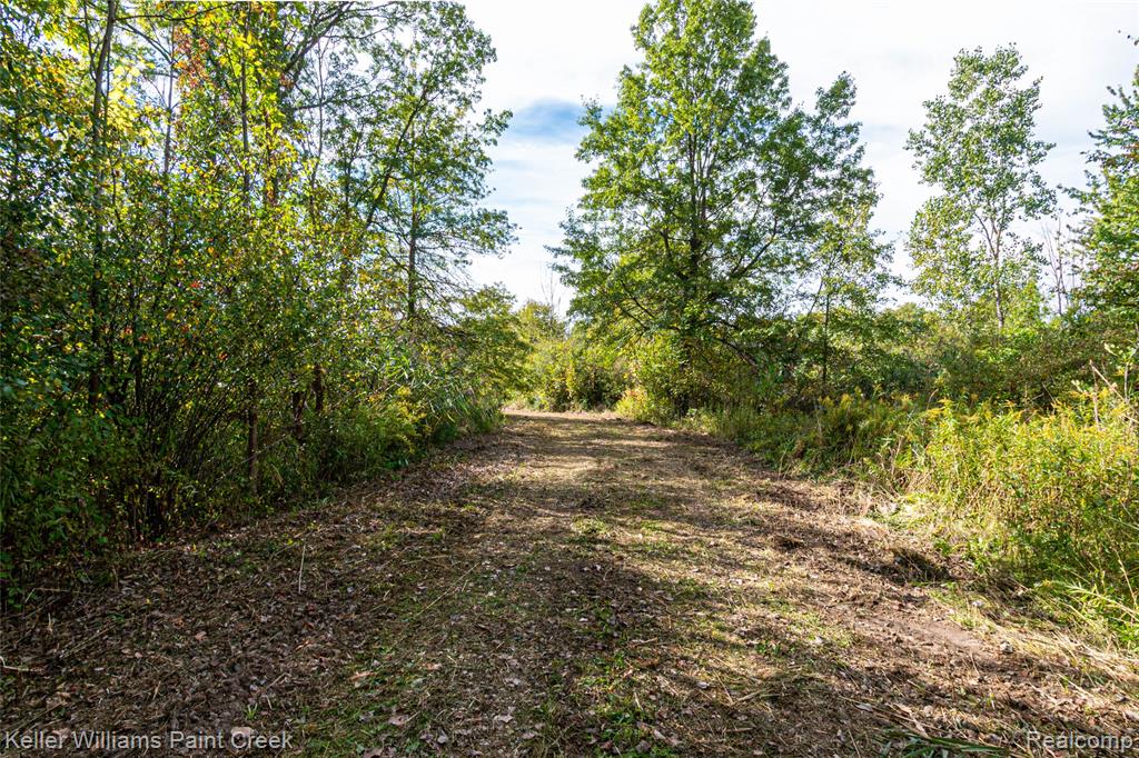 7699 Arnold Road Property Photo 4