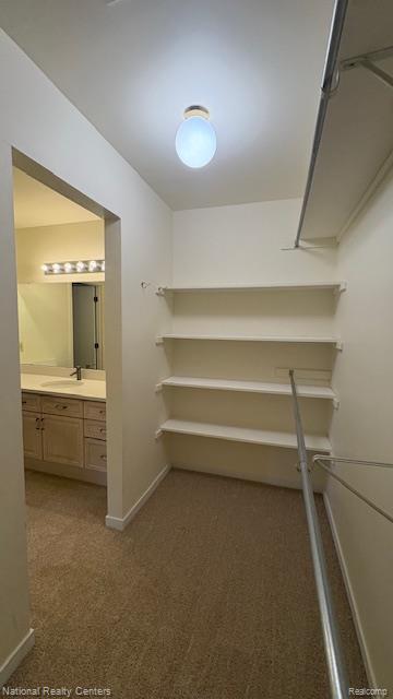 24251 Weathervane Court Property Photo 13
