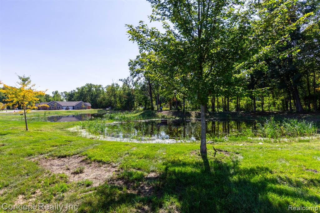 11035 Brookwood Property Photo 30