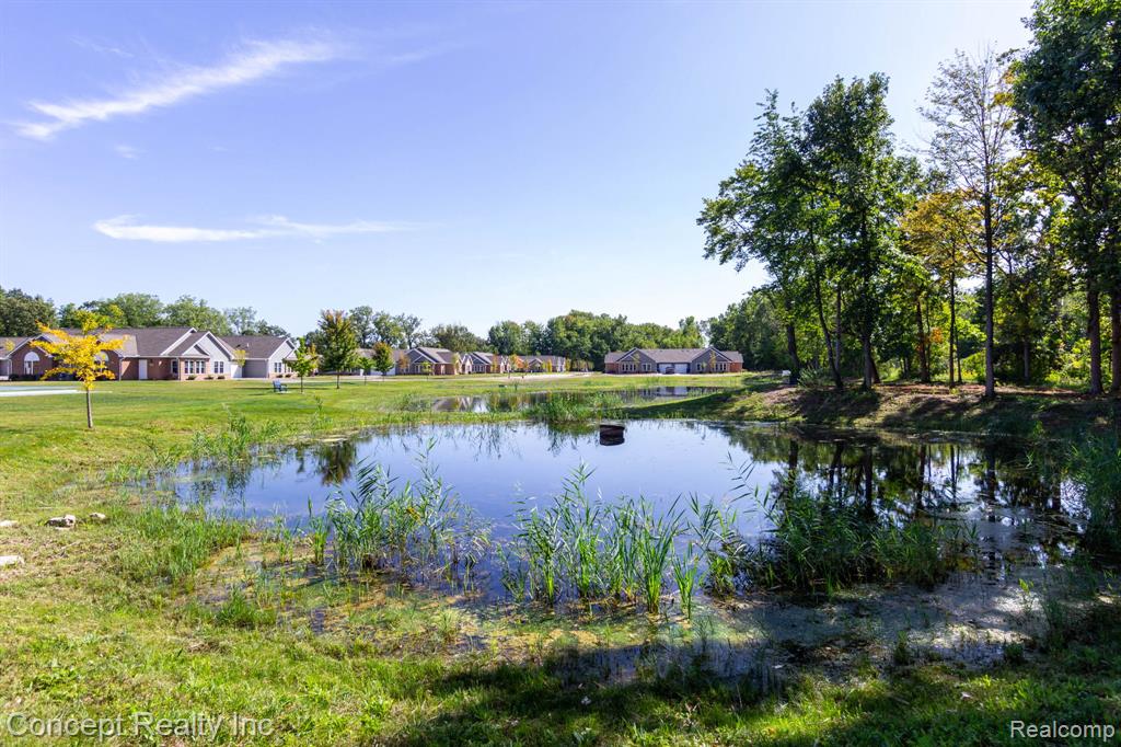 11035 Brookwood Property Photo 31