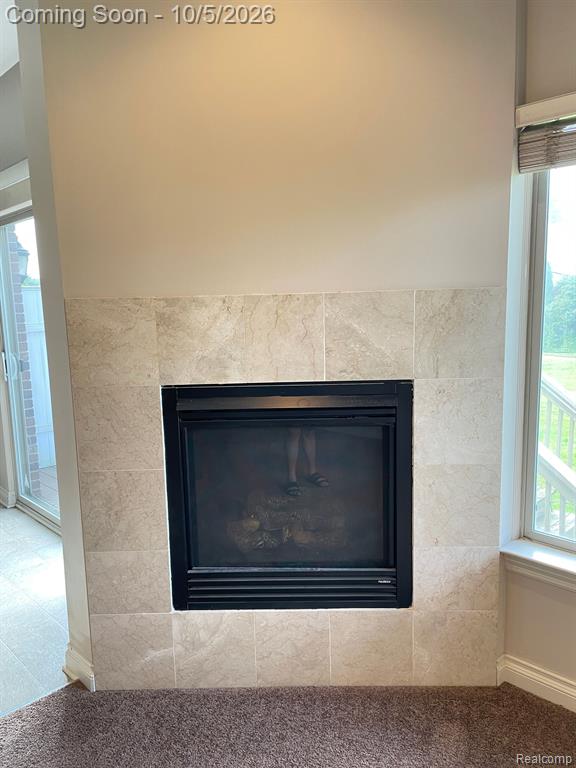29127 Timber Woods Drive Property Photo 9