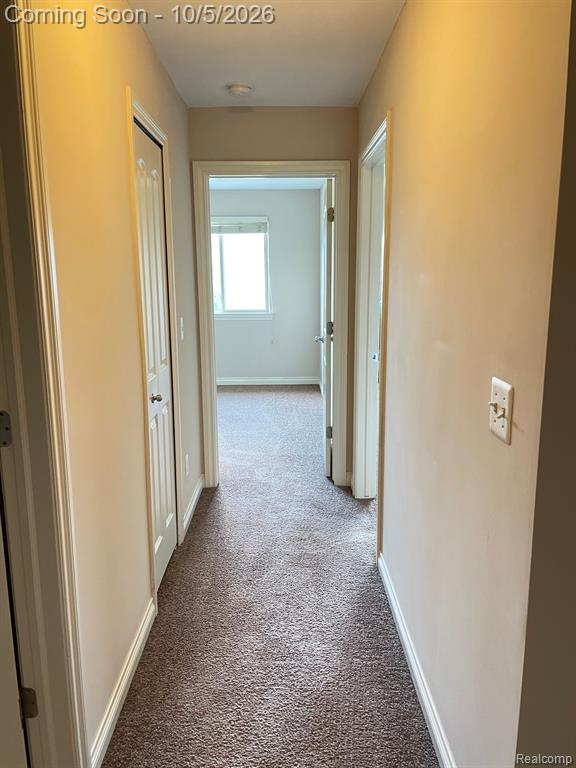 29127 Timber Woods Drive Property Photo 35