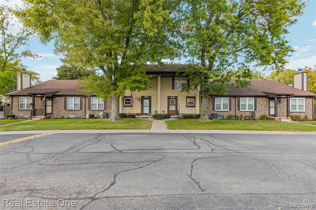 35302 Bristlecone Property Photo 45