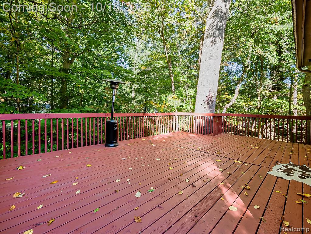 23605 Beech Road Property Photo 27