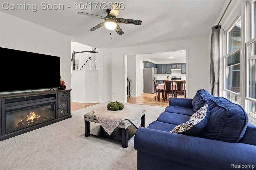 30128 Apple Grove Way Property Photo 4