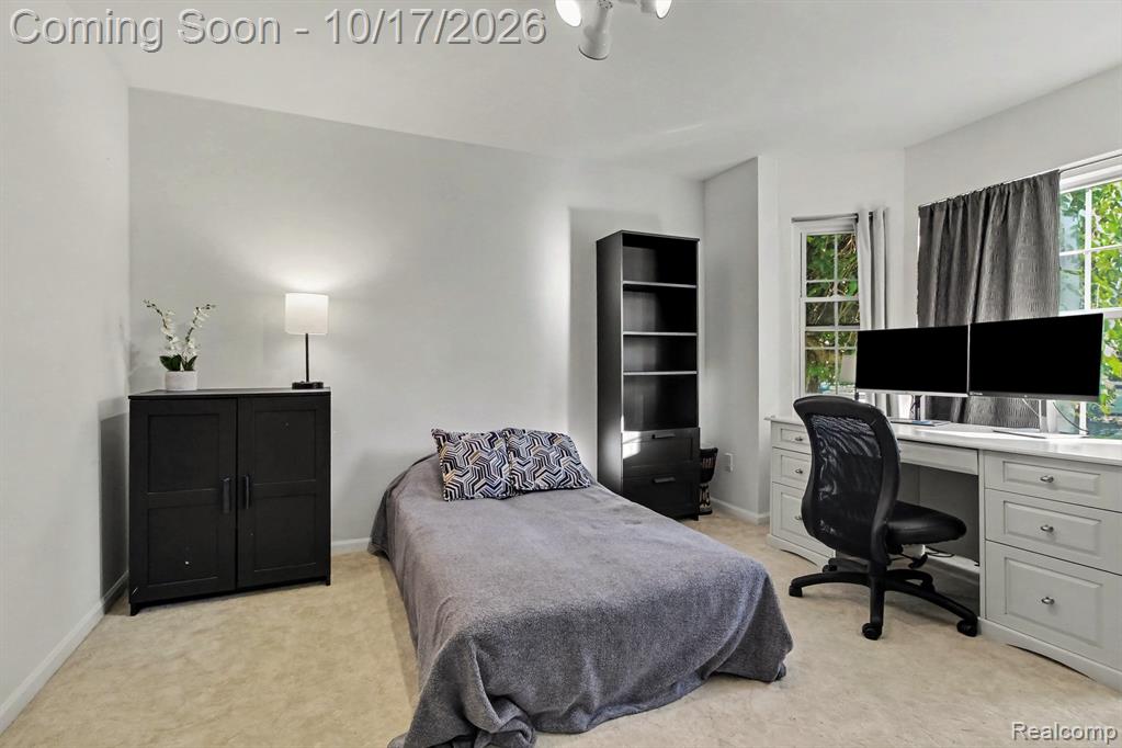 30128 Apple Grove Way Property Photo 6