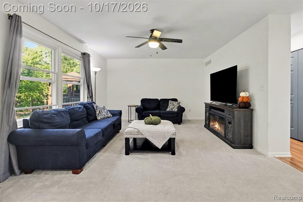 30128 Apple Grove Way Property Photo 9