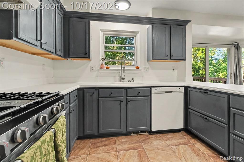 30128 Apple Grove Way Property Photo 10