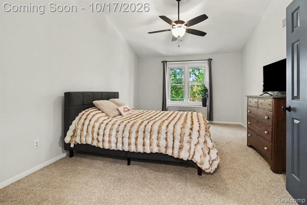 30128 Apple Grove Way Property Photo 13