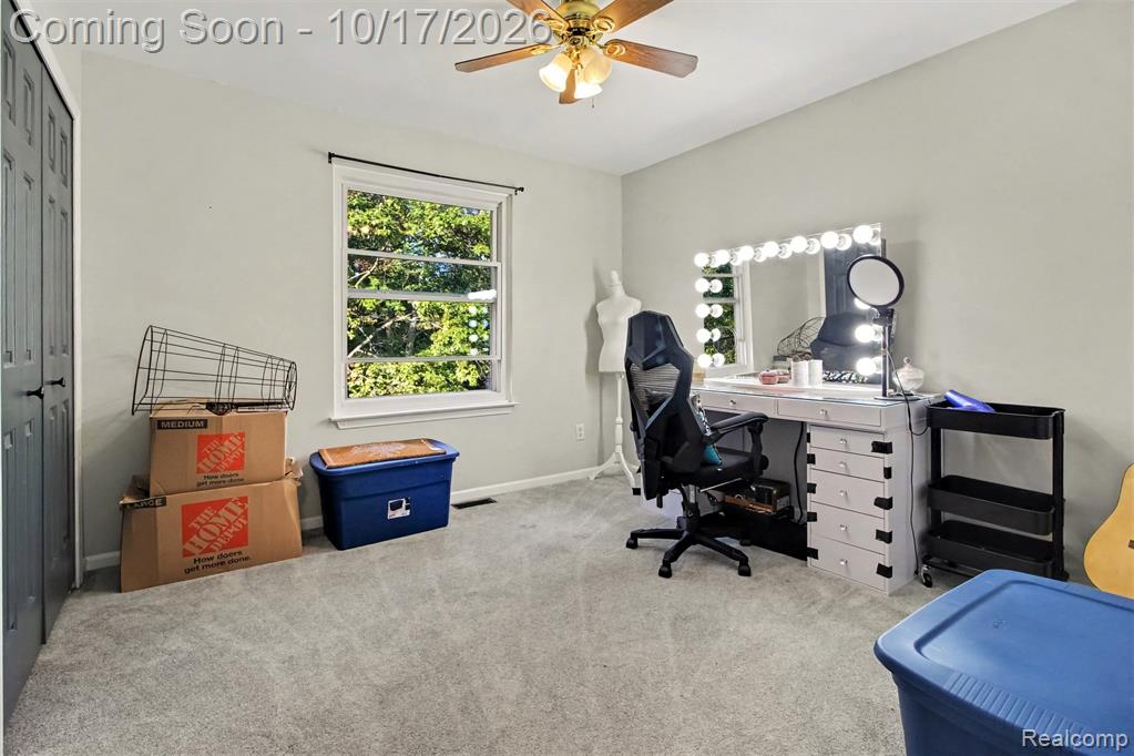 30128 Apple Grove Way Property Photo 14