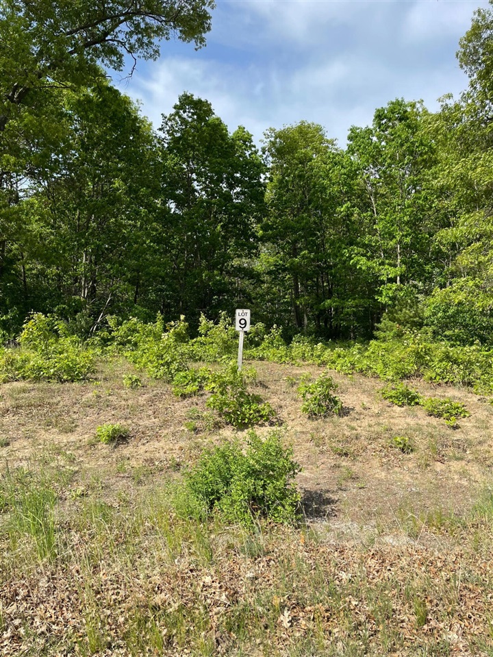 Lot 9 Renaissance