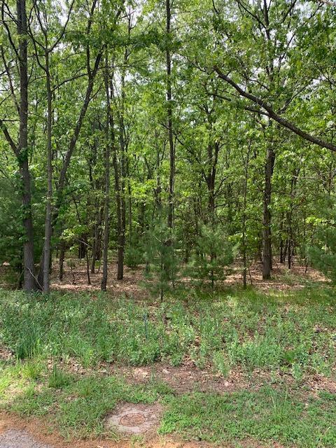 Lot 9 Old Channel Trail Property Photo 2