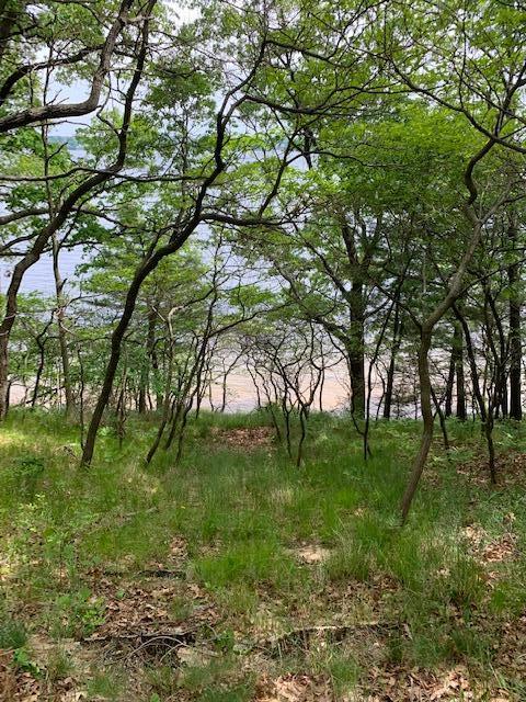Lot 9 Old Channel Trail Property Photo 5