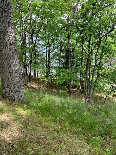 Lot 9 Old Channel Trail Property Photo 6