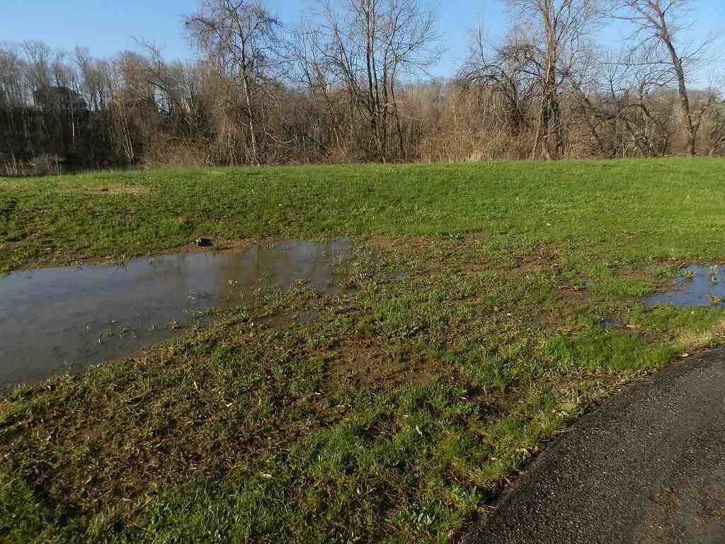 516 Swan River Drive Property Photo 3