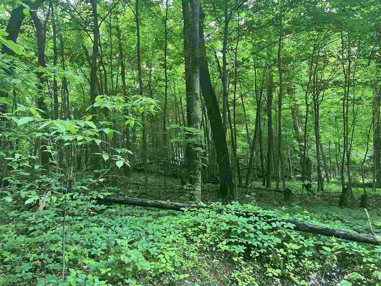 V/l Chippawa Circle Drive Property Photo 1