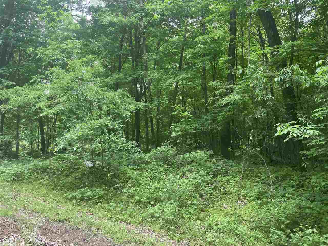 V/l Chippawa Circle Drive Property Photo 2
