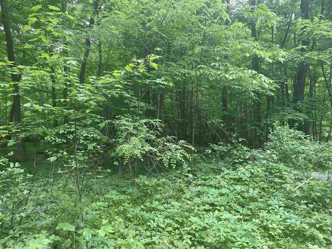 V/l Chippawa Circle Drive Property Photo 3