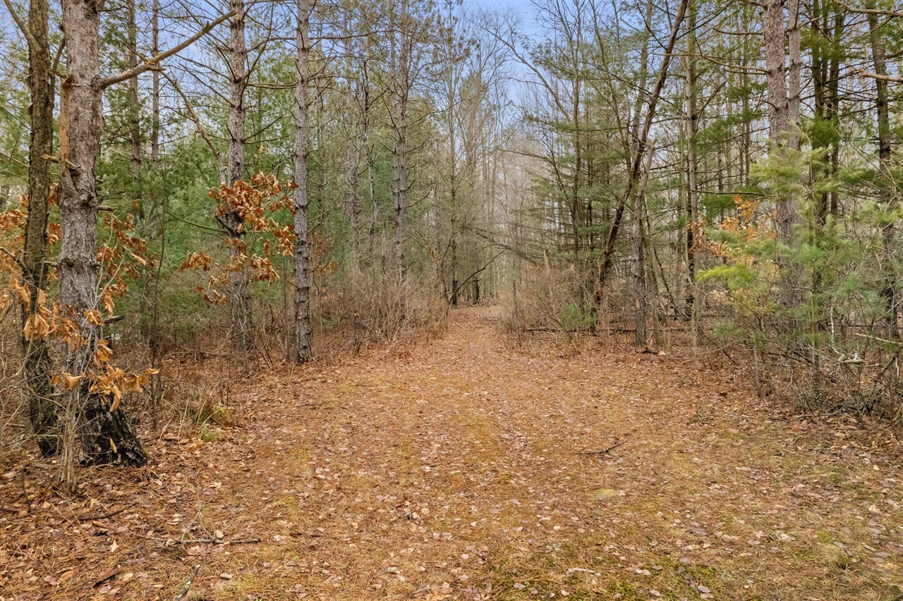 70301612 Property Photo 9