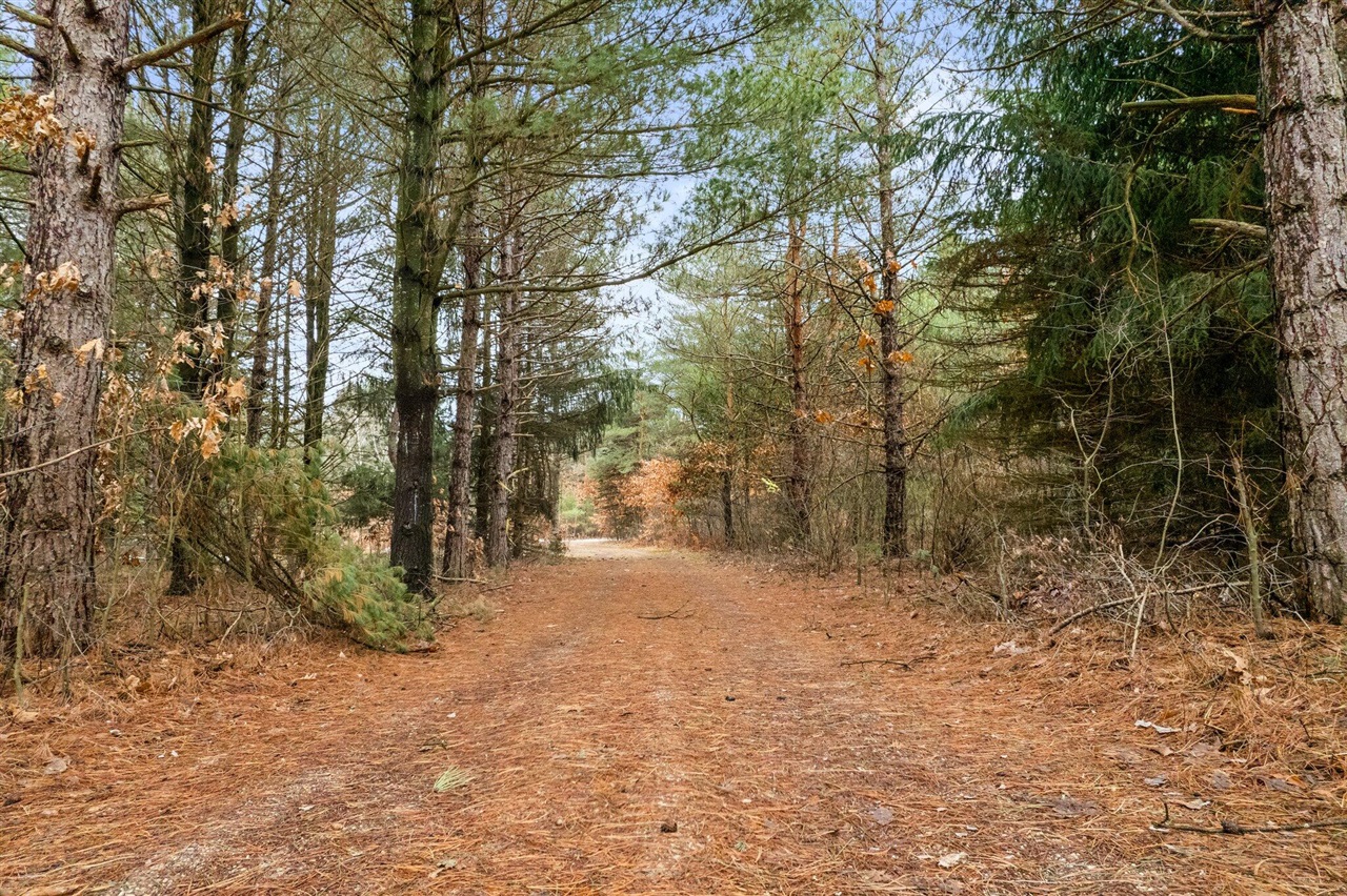 70301612 Property Photo 23