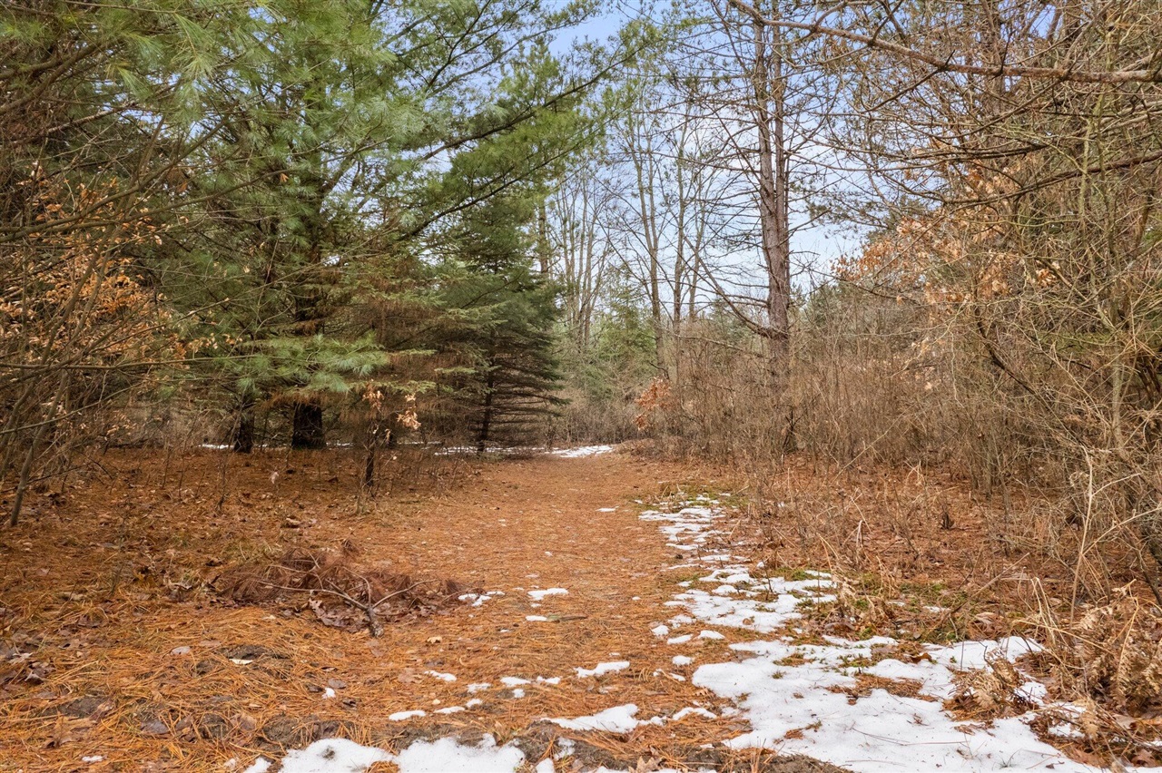 70301612 Property Photo 26