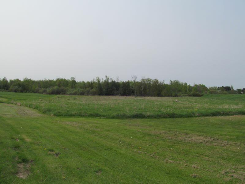Lot #19 Hemlock Street Property Photo 6