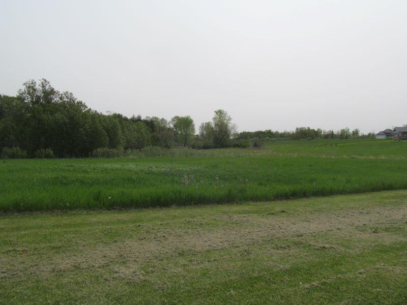 Lot #20 Hemlock Street Property Photo 4