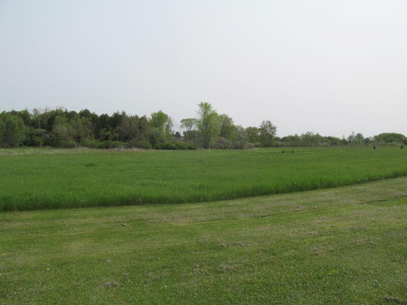 Lot #20 Hemlock Street Property Photo 8
