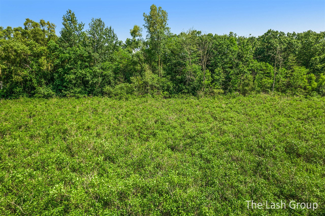 70320424 Property Photo 6