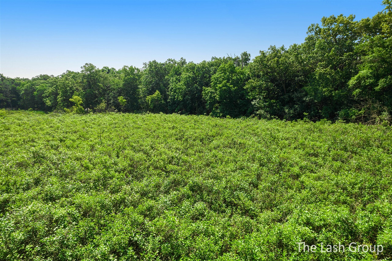 70320424 Property Photo 10
