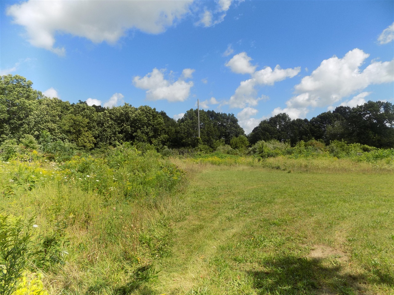 0 Mountain Road Property Photo 2