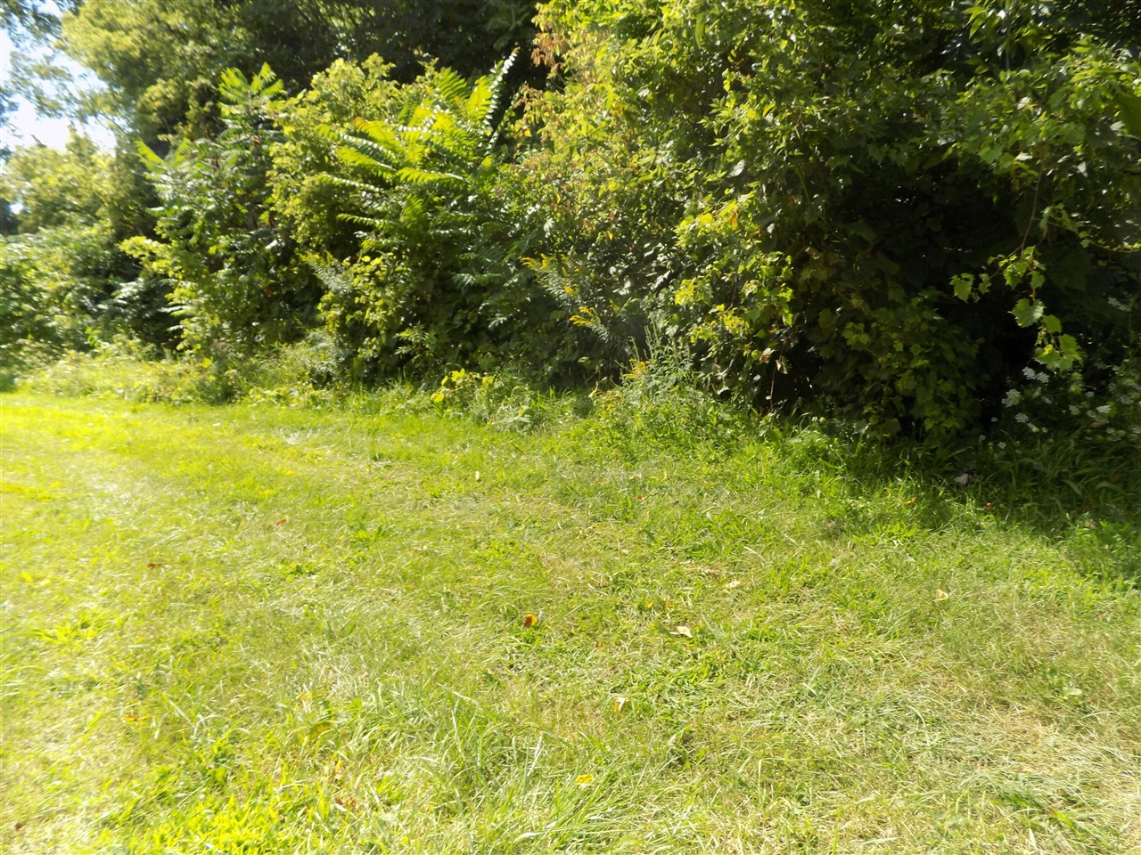 0 Mountain Road Property Photo 3