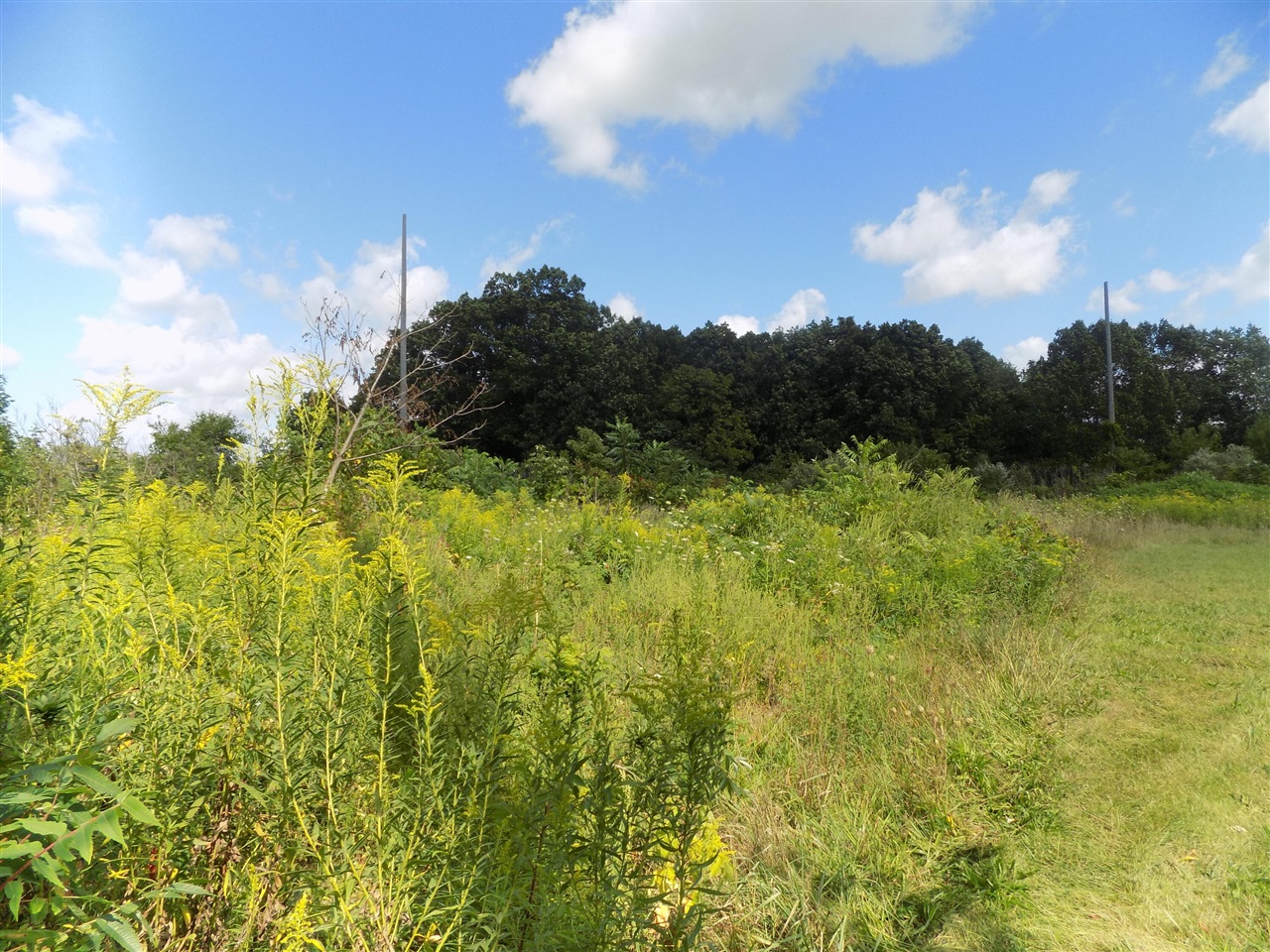 0 Mountain Road Property Photo 6