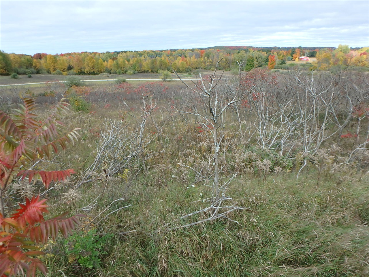 18155 Summerset Court Property Photo 1